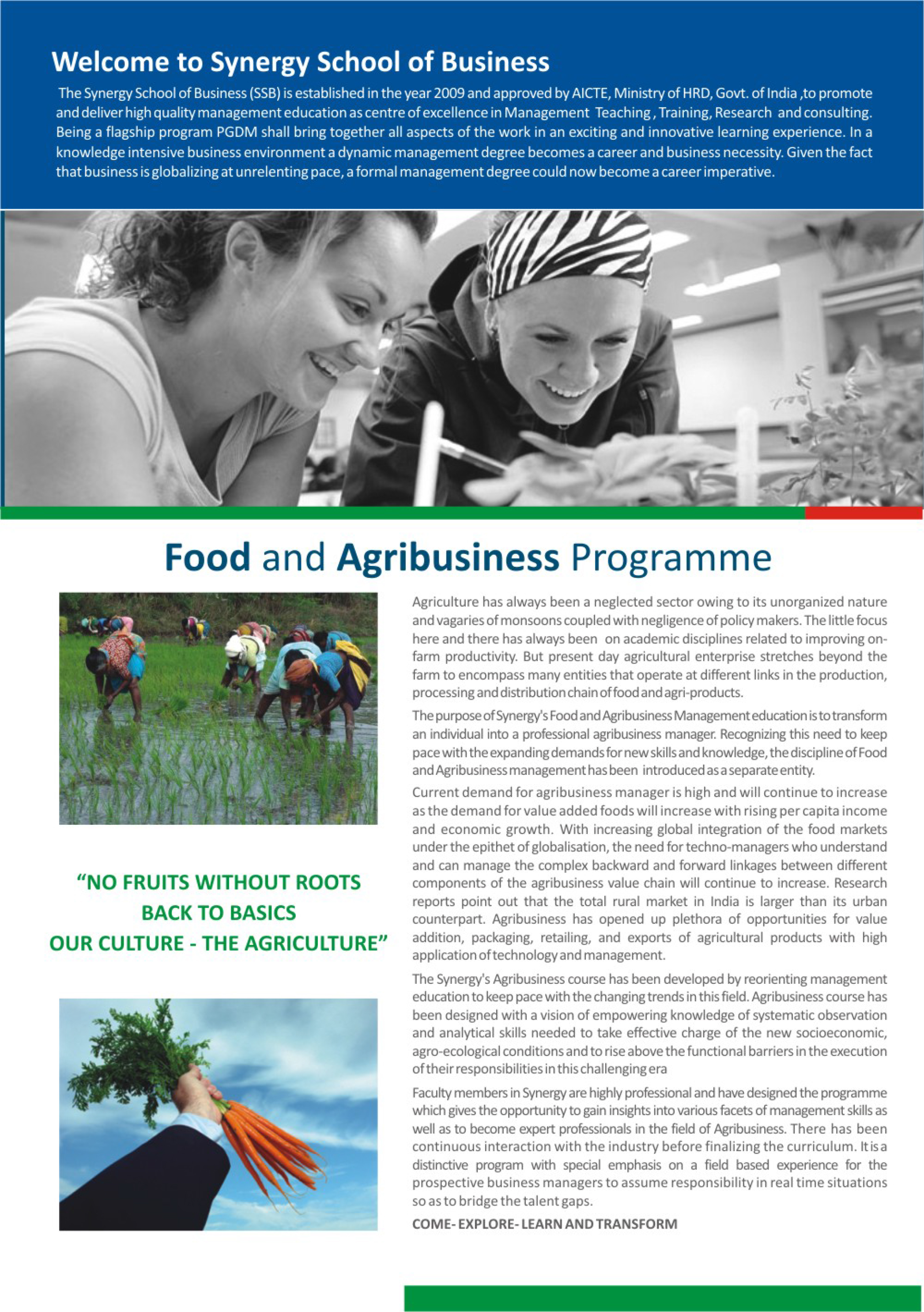 Food-and-Agribusiness