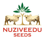 Nuziveedu-Seeds-Logo-2